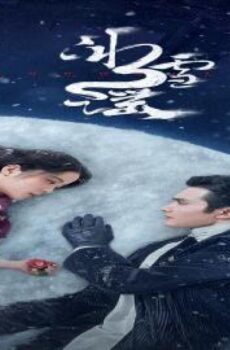 تساقط الثلوج Snowfall