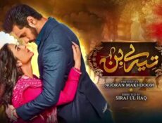 مسلسل حياتي بدونك الحلقة 39 التاسعة والثلاثون مترجمة