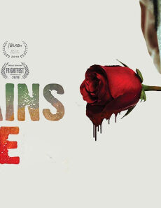 فيلم Eat Brains Love 2019 مترجم