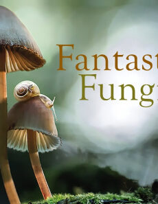 فيلم Fantastic Fungi 2019 مترجم