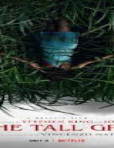 فيلم In The Tall Grass 2019 مترجم