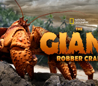 فيلم The Giant Robber Crab 2019 مترجم