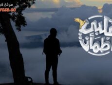 برنامج قلبي اطمأن الموسم 4 الحلقة 26 السادسة والعشرون