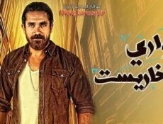 مسلسل حواري بوخاريست الحلقة 11 الحادية عشر
