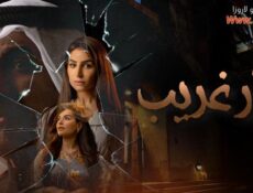 مسلسل دار غريب الحلقة 29 التاسعة والعشرون