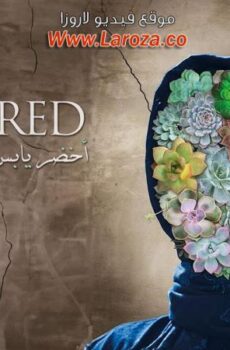 فيلم أخضر يابس 2016