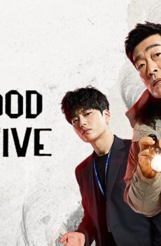 The Good Detective