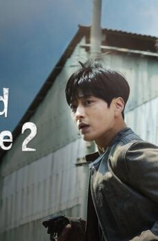 The Good Detective الموسم 2