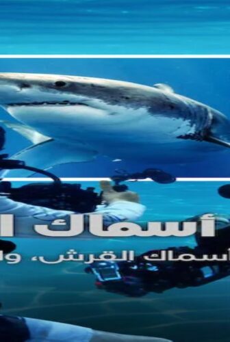 All the Sharks