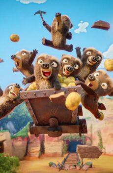 7 Bears