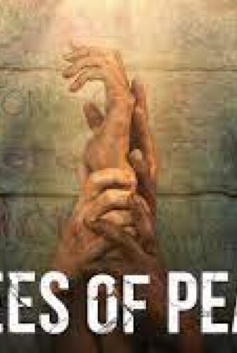 فيلم Trees of Peace 2022 مترجم