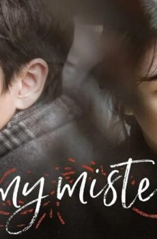 My Mister