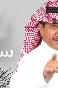سيلفي