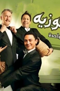 فيلم خلطة فوزية 2010