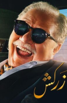 نجيب زاهي زركش