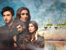 مسلسل اضيئي ليلي الحلقة 13 الثالثة عشر مدبلجة