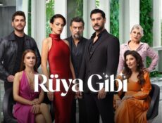 مسلسل مثل الحلم الحلقة 14 الرابعة عشر مترجمة