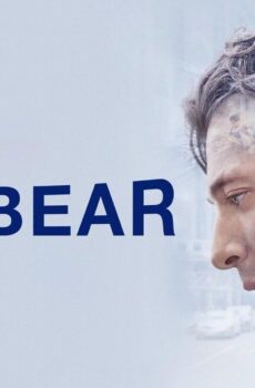 The Bear الموسم 5