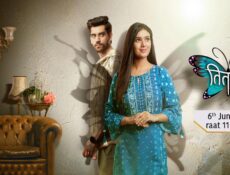 مسلسل الفراشة الحلقة 20 العشرون مترجمة