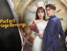 مسلسل زواج الانتقام المثالي Perfect Marriage Revenge الحلقة 6 السادسة مترجمة