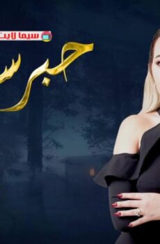 حبر سري