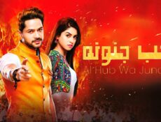 مسلسل الحب وجنونة الحلقة 83 الثالثة والثمانون مدبلج
