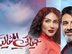 مسلسل حياتي المثالية الحلقة 7 السابعة