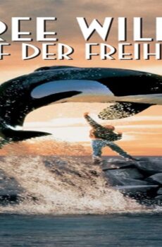 فيلم Free Willy 1993 مترجم