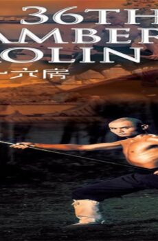 فيلم The 36th Chamber of Shaolin 1978 مترجم