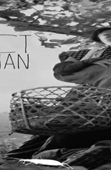 فيلم The Insect Woman 1963 مترجم