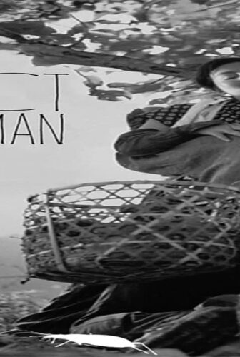 فيلم The Insect Woman 1963 مترجم
