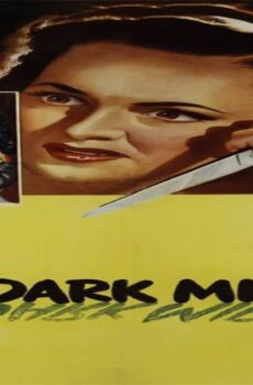 فيلم The Dark Mirror 1946 مترجم