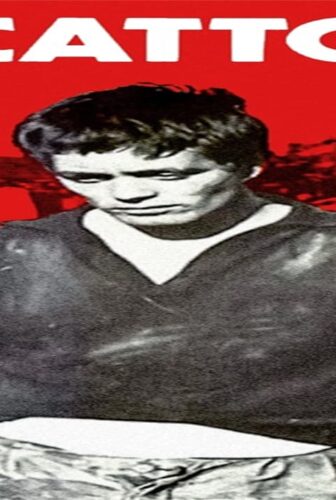 فيلم Accattone 1961 مترجم