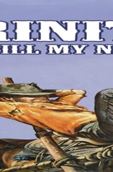 فيلم Trinity Is Still My Name 1971 مترجم