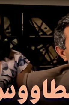 فيلم الطاووس