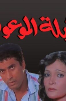 فيلم الليلة الموعودة