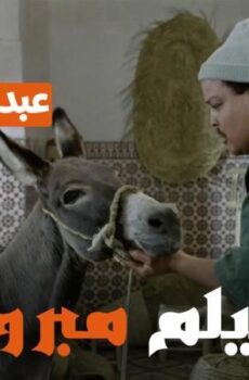 فيلم مبروك