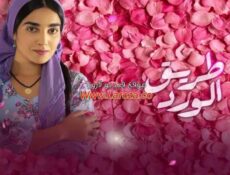 مسلسل طريق الورد الحلقة 1 الاولي