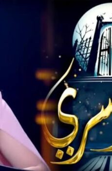 حبر سري الموسم 3