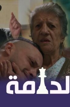 الدامة