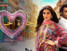مسلسل حارة الحبايب الحلقة 2 الثانية مدبلجة