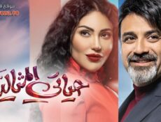 مسلسل حياتي المثالية الحلقة 25 الخامسة والعشرون