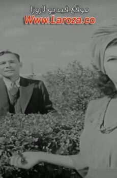فيلم حب من السماء