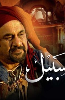 ديوان السبيل