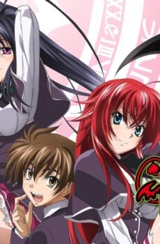 High School DxD