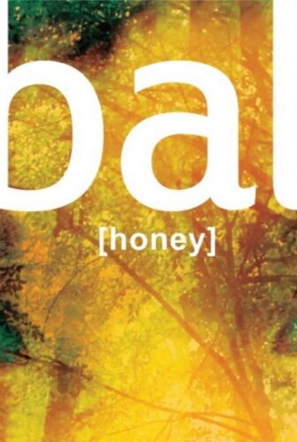 فيلم Honey 2010 مترجم