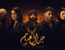 مسلسل جمال الحريم الحلقة 17 السابعة عشر
