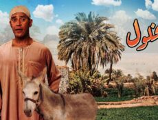 مسلسل شخلول الحلقة 1 الاولي