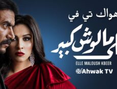 مسلسل اللي ملوش كبير الحلقة 14 الرابعة عشر
