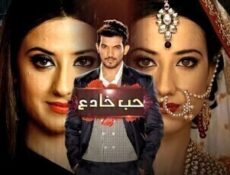 مسلسل حب خادع الحلقة 230 مدبلج